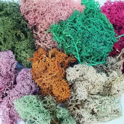 termések kategória