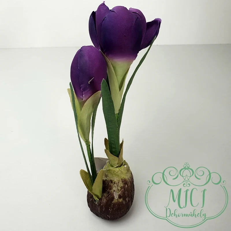 Élethű tavaszi hagymás krókusz. Kiegészítője lehet: csokor