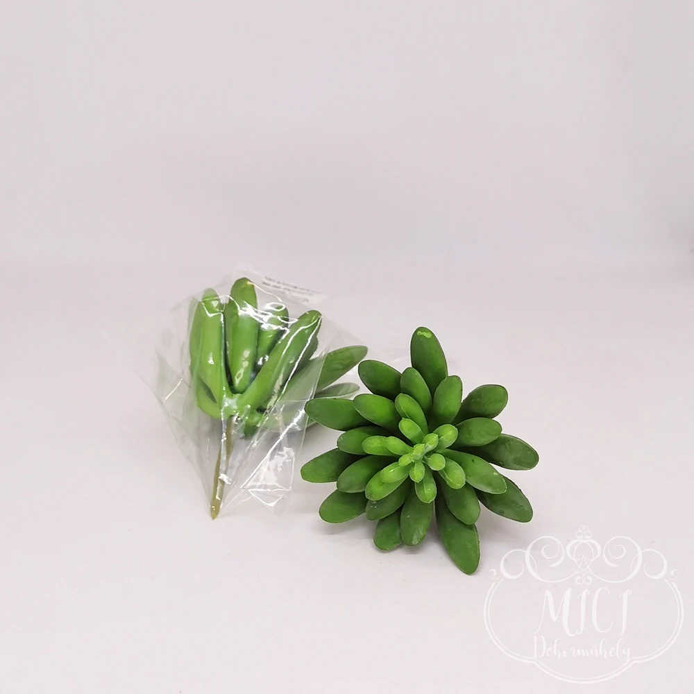 Ezekkel a pozsgás zöld növény részekkel feldobhatod koszorúidat