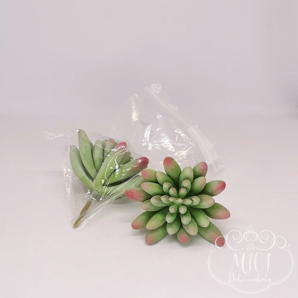 Ezekkel a pozsgás zöld növény részekkel feldobhatod koszorúidat