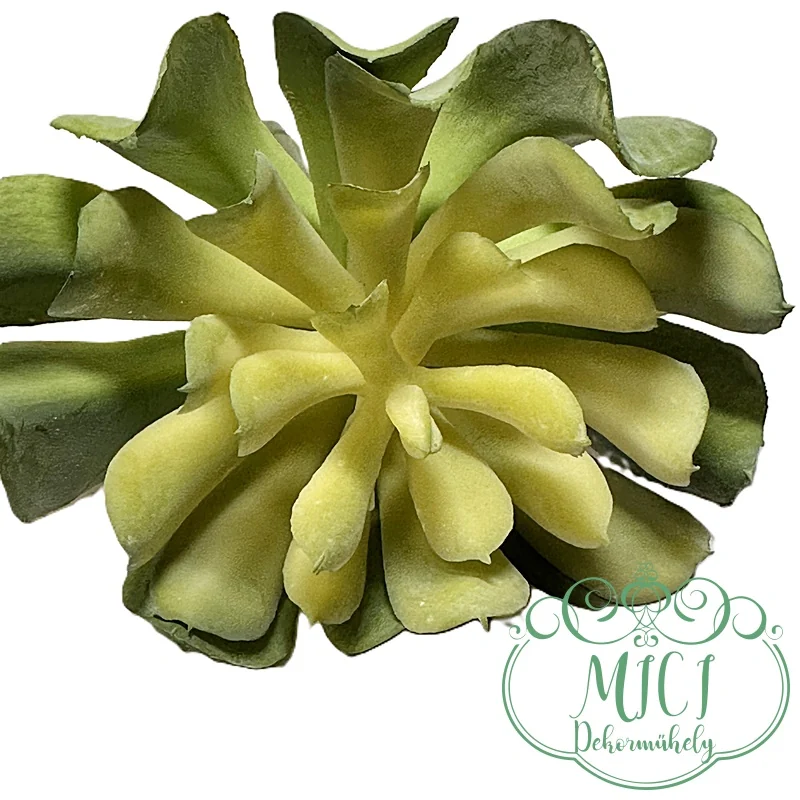 Ezekkel a pozsgás zöld növényekkel feldobhatod koszorúidat