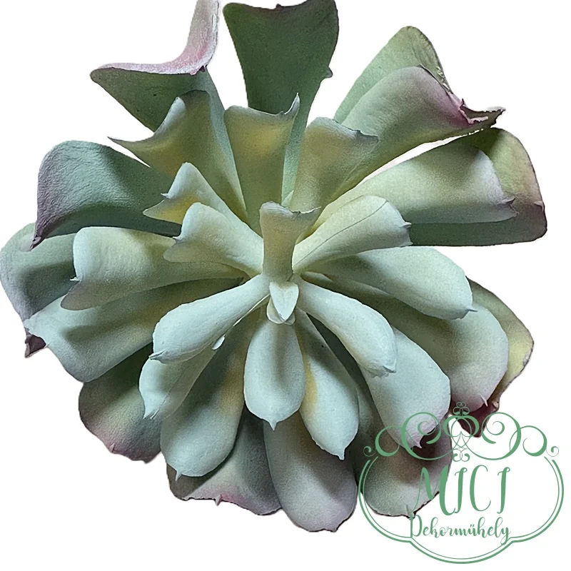 Ezekkel a pozsgás zöld növényekkel feldobhatod koszorúidat