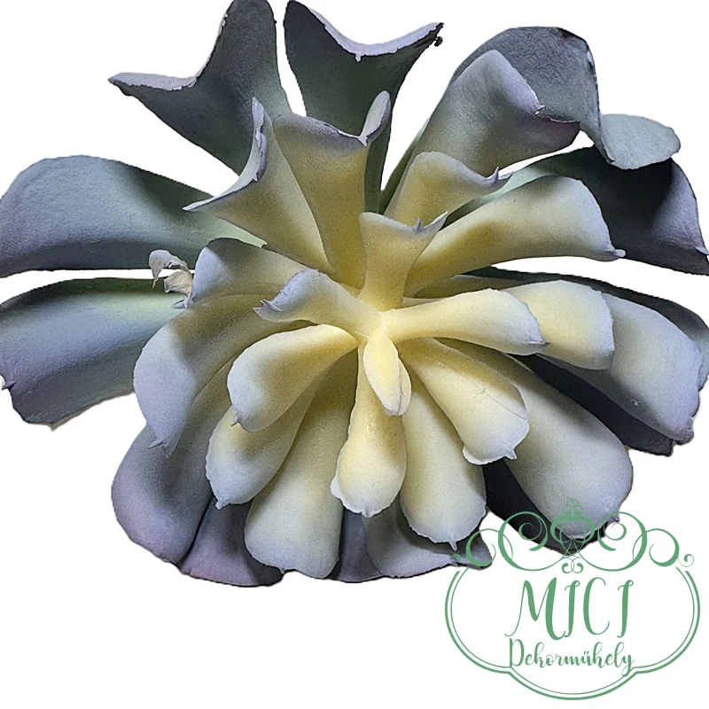 Ezekkel a pozsgás zöld növényekkel feldobhatod koszorúidat