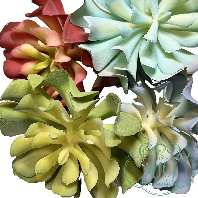 Ezekkel a pozsgás zöld növényekkel feldobhatod koszorúidat