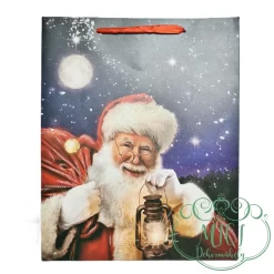 Ez a praktikus ajándéktasak megoldás a csomagolási problémákra. Fényes kartonpapírból készült dekoratív ajádéktáska; szalag füllel.