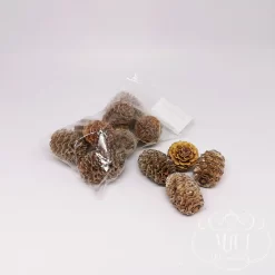 Szárított növény rész