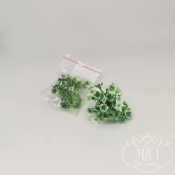 Ezekkel a pozsgás zöld növény részekkel feldobhatod koszorúidat