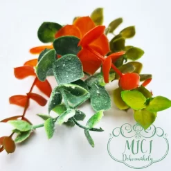 Ezekkel a pozsgás zöld növény részekkel feldobhatod koszorúidat