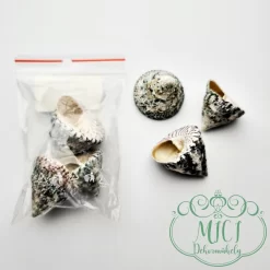 Nyári apró kütyü; home decor kiegészítő. Díszítő elemként használhatod lakásdekorációk