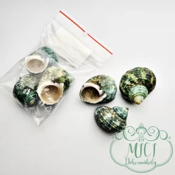 Nyári apró kütyü; home decor kiegészítő. Díszítő elemként használhatod lakásdekorációk