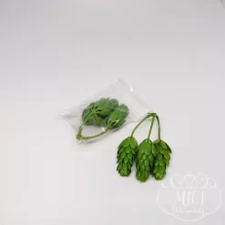 Ezekkel a pozsgás zöld növény részekkel feldobhatod koszorúidat