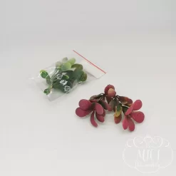 Ezekkel a pozsgás zöld növény részekkel feldobhatod koszorúidat