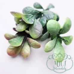 Ezekkel a pozsgás zöld növény részekkel feldobhatod koszorúidat