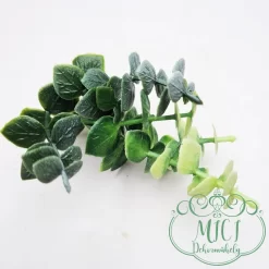 Ezekkel a pozsgás zöld növény részekkel feldobhatod koszorúidat