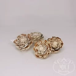 Szárított növény rész