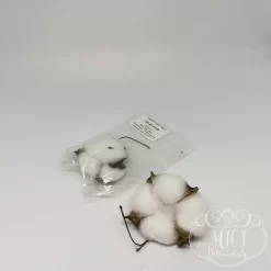 Szárított növény rész