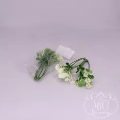 Ezekkel a pozsgás zöld növény részekkel feldobhatod koszorúidat